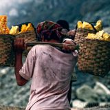Sulfur-miner-in-Kawah-Ijen